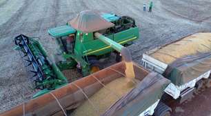 Anec corta previsão de exportação de soja e farelo do Brasil em fevereiro