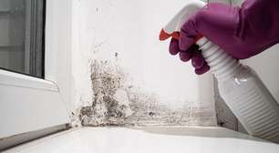 Umidade em casa? Veja como evitar o mofo após os fortes temporais de ontem