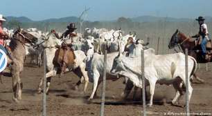 Justiça mantém condenação da Volkswagen por trabalho escravo no Pará