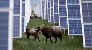 Eles só queriam energia, mas alteraram a natureza: o 'efeito colateral' impensável da megaobra chinesa que cobriu o deserto com painéis solares