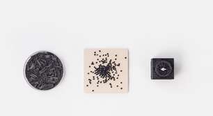 Resíduos agrícolas viram isopor orgânico