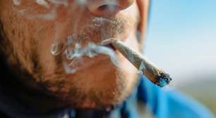 Se você acha que a cannabis na juventude é inofensiva, a ciência tem algo a lhe dizer: ela dobra os riscos para o cérebro