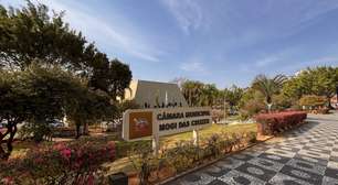 Câmara de Mogi recebe exposição 'Palavras - um ato natural' a partir de 4 de março