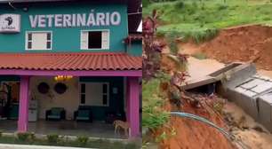 Chuva derruba ponte e deixa canil e centro veterinário ilhados em MG: 'Isolados'