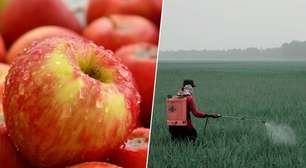 Pensávamos que as maçãs eram o alimento mais saudável; um novo estudo europeu acaba de mostrar o quão enganados estávamos