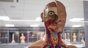 Como faculdades de hospitais criam 'campo de estágio' e de formação de médicos