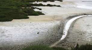 Salinização dos solos obriga regiões costeiras a reinventarem a agricultura