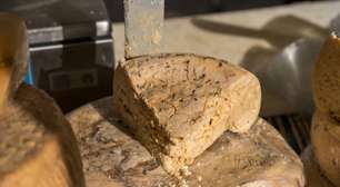 Casu Marzu: o queijo com larvas que choca o mundo e é proibido em vários países
