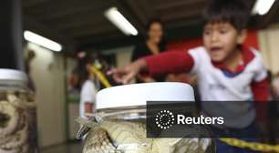 IPCA-15 sobe 0,84% em fevereiro, diz IBGE