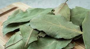 Se você sofre com gases e não usa folha de louro na comida, está fazendo errado: veja como usar este antigases natural