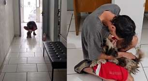 Cachorrinha é devolvida ao verdadeiro tutor após teste da Polícia Civil em delegacia do RS; veja