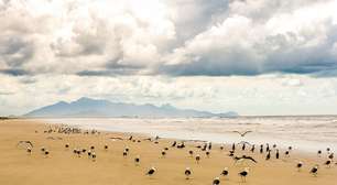 Ilha do Superagui: o paraíso preservado que resiste ao tempo no litoral do Paraná