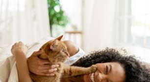 Eles dividem os mesmos riscos que você: o detalhe incrível na genética dos gatos que pode revolucionar o tratamento do câncer