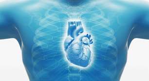 Aptidão cardiovascular: o segredo para um coração saudável e mais energia no dia a dia