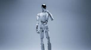 A Tesla vem produzindo o Optimus há anos; a China acaba de entrar no mercado com quinze empresas e fábricas já construídas