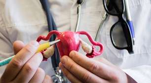 Quando é o momento certo? Entenda a janela fértil da mulher