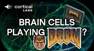 Esta empresa está produzindo computadores alimentados por células cerebrais humanas e eles rodam Doom