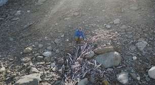 Derretimento do gelo revela sistema complexo de armadilha de renas de 1.500 anos na Noruega