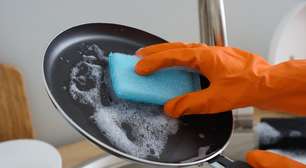 Adeus esponja de lavar louça: nova tendência seca rápido e é mais limpa e econômica do que a bucha