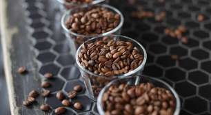 Café: saiba como a cafeína afeta o corpo e quando o consumo vira problema