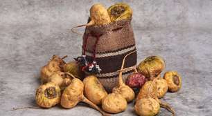 Maca peruana ajuda na menopausa? Entenda os benefícios desse superalimento