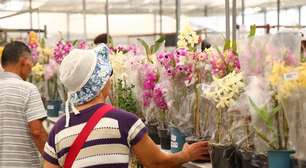 Prefeitura de Arujá e Aflord fecham parceria para feira permanente de flores no município