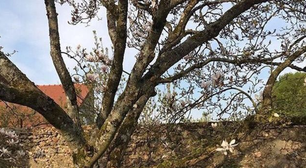 Lucky Girl Syndrome: será que acreditar na própria sorte funciona mesmo?