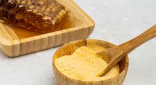 Mercado de suplementação de glutamina projeta movimentação de US$ 2,5 bilhões até 2032