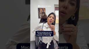 Vídeo: Macaco-prego que seria vendido ilegalmente por R$ 7 mil é resgatado em Santa Isabel