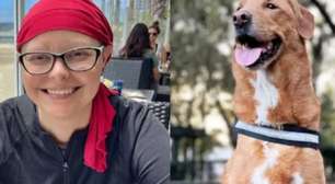Cachorro detecta câncer agressivo em tutora após comportamento estranho