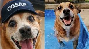 Após 10 anos, o cachorrinho que mais esperou ganhar um lar, finalmente, foi adotado