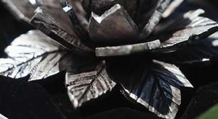 Seleção feminina de futebol presenteia atletas com a "Flor da Resistência", um presente-protesto