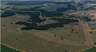 Ministério Público impede venda da Fazenda "Onça" em Avaré em leilão eletrônico