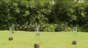 Memorial vivo: Mamonas Assassinas ganham homenagem sustentável em São Paulo