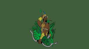 3 banhos de ervas para se conectar com a energia de Oxóssi