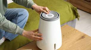 Umidificador de ar em casa: necessidade ou luxo?