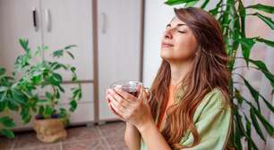 Chá antes de dormir: 5 opções que ajudam a melhorar o sono