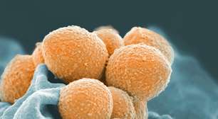 Um passo histórico contra o câncer: cientistas revelam a descoberta que faz bactérias devorarem tumores