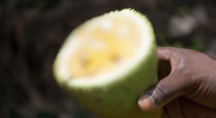 Nem todo mundo gosta, mas essa é a fruta perfeita para quem quer perder peso e soltar o intestino