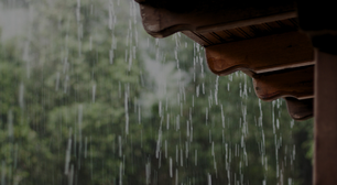 Calor e chuva aceleram avanço da dengue no país