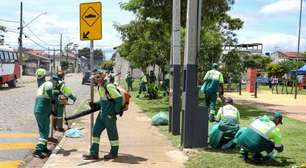 Cata-Tranqueira e mutirão de roçada atendem regiões do Alto Ipiranga e Vila Lavínia neste sábado