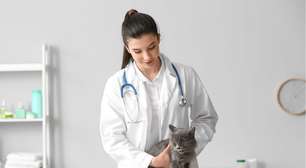 Doenças renais em gatos: conheça os sintomas e as formas de prevenção