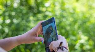 Ações da Qualcomm e da ARM caem após confirmação de que a falta de chips de memória está limitando a produção mundial