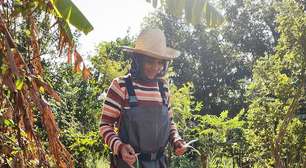 Mulheres cultivam futuro com agroflorestas no Pará