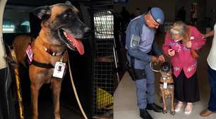 Cadela da PM encanta pacientes com câncer em hospital de São Paulo