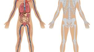 Necrose: entendendo a morte do tecido e o caso do ator Raymundo de Souza