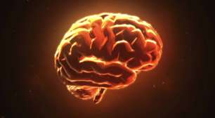 Morte encefálica: como funciona o protocolo médico que confirma o fim da vida