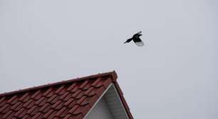 Síndrome de Pica: quando comer terra e objetos se torna um transtorno