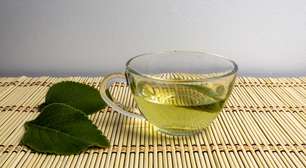 Para que serve o chá de boldo? 3 receitas para incluir no dia a dia