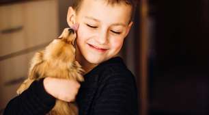 Violência contra animais acende alerta sobre saúde mental de adolescentes